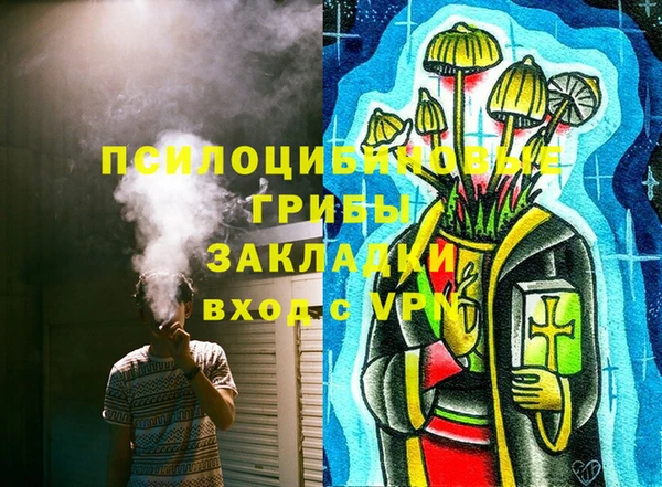 дмт Балахна