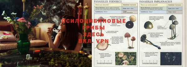 мет Баксан