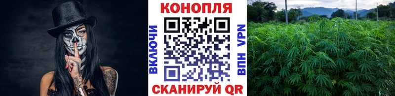 сколько стоит  Кувандык  OMG tor  Бошки марихуана сатива 